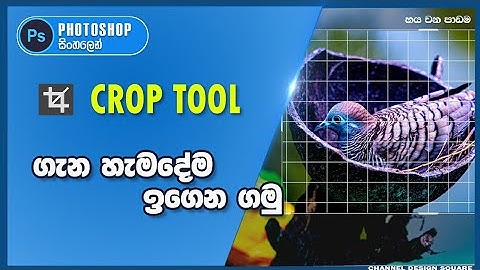 How to use Crop Tool in Photoshop | Photoshop Tutorial | Sinhala | Design Square