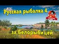 Русская рыбалка 4. Поход за Белорыбицей.