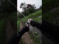 Double strike di satu spot! 🎣🔥#casting #mancing #fypシ #fyp #mancingmania