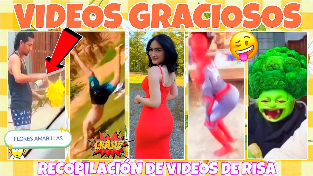 🎊🫒VIDEOS CORTOS PARA LLORAR DE RISA🤣🌻 SI TE DIVIERTES LE DAS LIKE Y TE SUSCRIBES AL CANAL [EP.290]