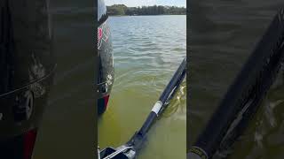 Mercury Pro Team member Ronnie Green talks his five must-haves on the water! by Mercury Marine 577 views 3 months ago 1 minute, 1 second