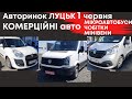 Комерційні авто на Луцькому авторинку: Мікроавтобуси, Чобітки, Мінівени 1.06.2023