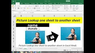 #248 Picture Lookup one sheet to another sheet in Excel Hindi