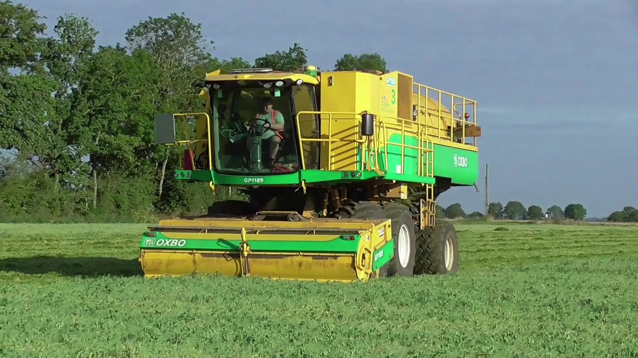 pea vining at metfield suffolk uk 10 aug 2024