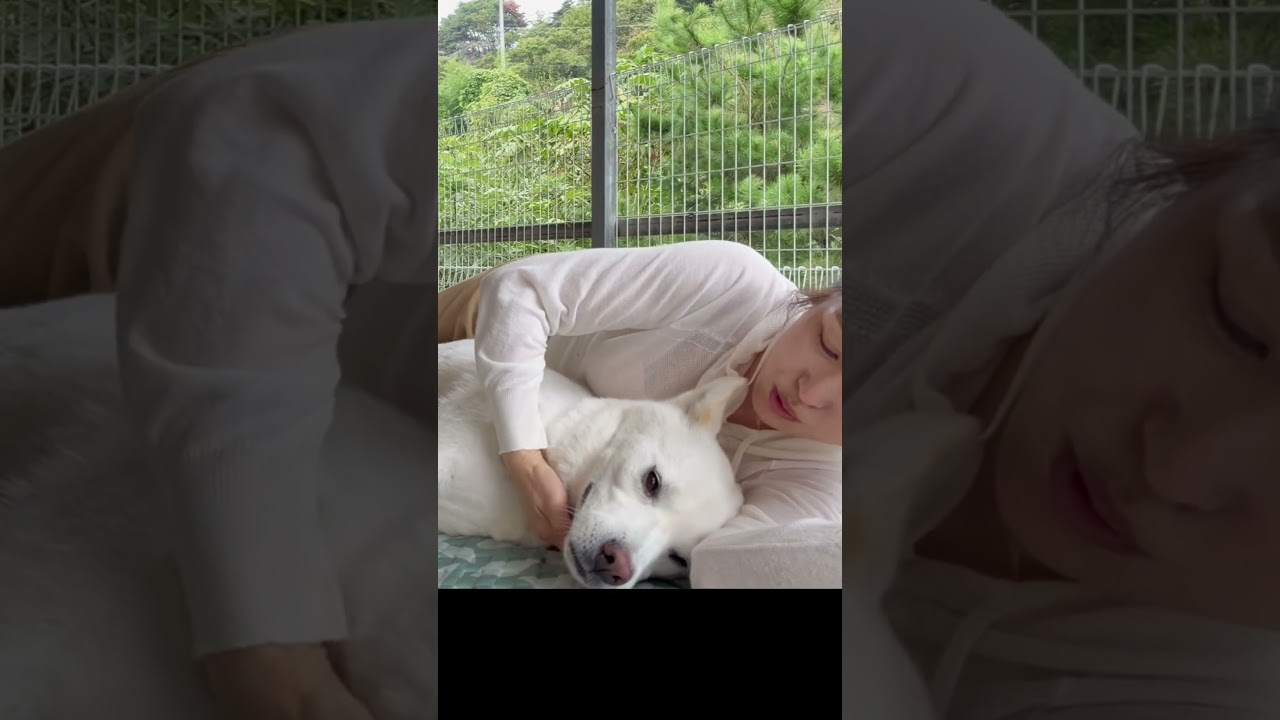개조카에게 팔베개를 해줬습니다