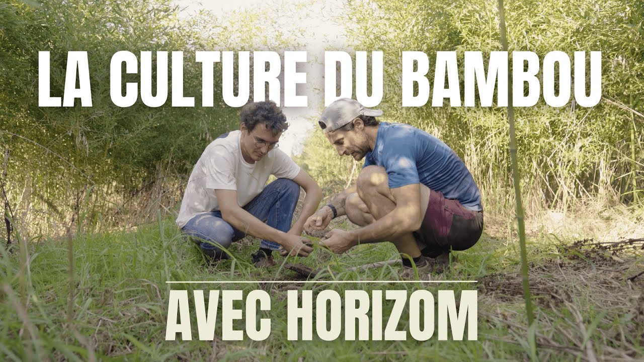 Vidéo Horizom