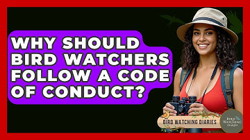 Why Should Bird Watchers Follow A Code Of Conduct? - Bird Watching Diaries