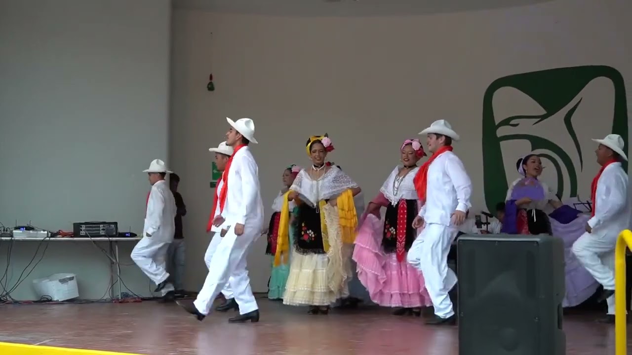 Zapateado Veracruzano- en Tecoman Gira 2025