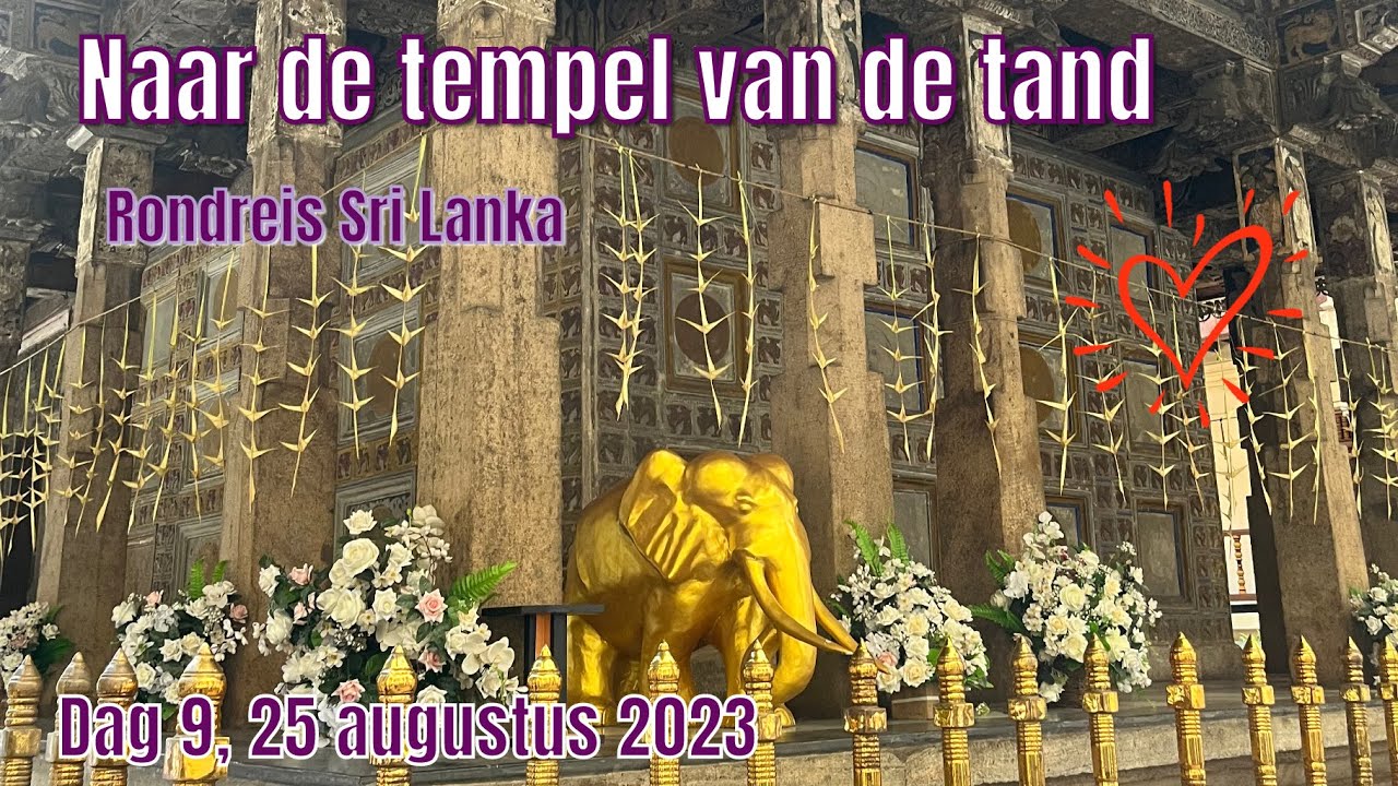 Naar de tempel van de tand🦷 | 17 daagse rondreis Sri lanka😍 dag 9 - YouTube