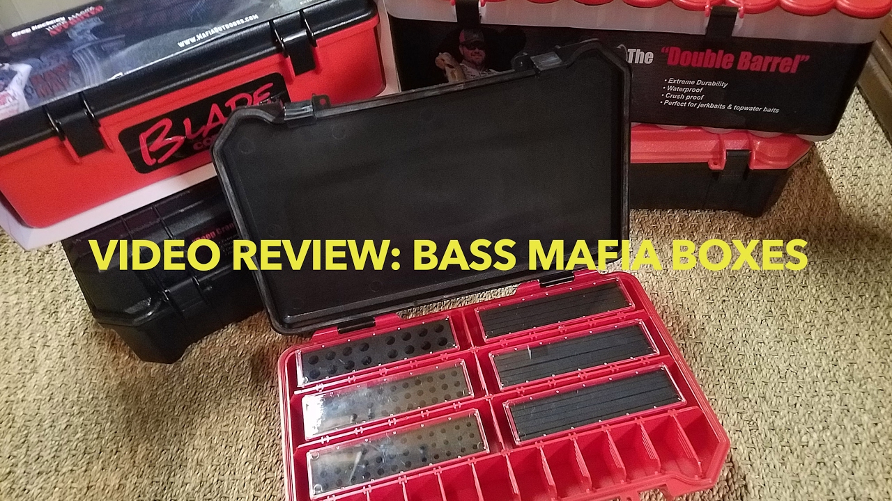 Video Review: New Bass Mafia Boxes 