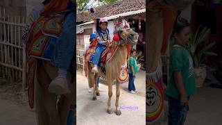 Bocil cantik naik kuda renggong keren