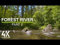 8 HOURS Forest Stream Sounds and Birds Chirping for Stress Relief & Relaxation - Part #2