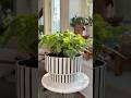 IKEA HACK ALERT 🪴💦 This self-watering pot just changed the game no more thirsty plants! #ikeahack