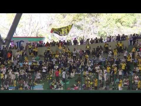 【2014年3月16日】阪神タイガース 応援歌1-9＆六甲颪(西武ドーム)