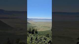 🌄 Discover the Stunning Views of Ngorongoro Crater! 🌿