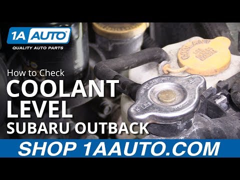 How to Check Coolant Level 10-14 Subaru Outback