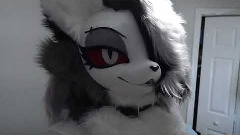 Loona fursuit introduction video