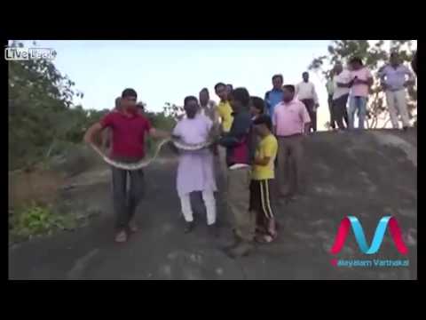 Selfie with snake goes wrong!!!!!