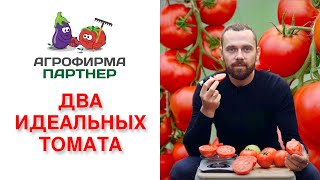 ДВА ИДЕАЛЬНЫХ ТОМАТА ДЛЯ ФЕРМЕРОВ И ОГОРОДНИКОВ