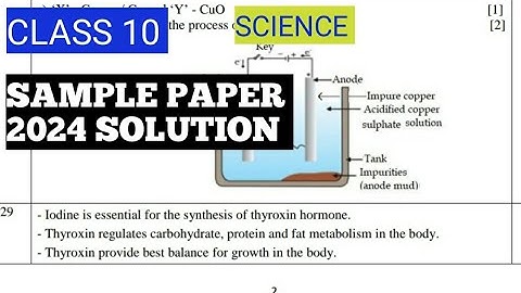 CLASS 10 Science 2023-24 SAMPLE QUESTION PAPER SOLUTION|CBSE LATEST SAMPLE PAPER Class 10|CBSE 2024