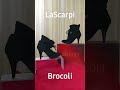 Ботинки женские демисезонные Brocoli.