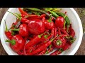 Кто погрыз томаты🍅🍅? Острый перец:🌶🌶🌶Кайенский и черри.Как убрать излишнюю остроту перца?