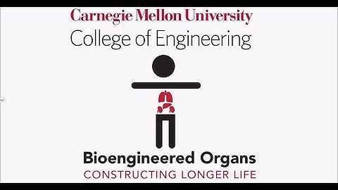 Bioengineered Organs Initiative Overview