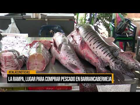 La Rampa, lugar para comprar pescado en Barrancabermeja