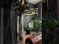 نهاية 2025 القادم اجمل 2026 