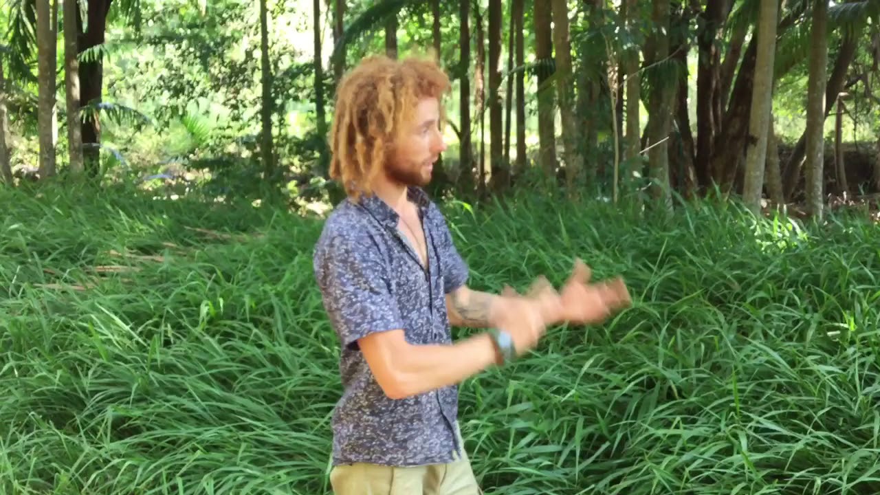 Red Soil Organics | Gold Coast | Upcoming workshop! 27/1/19