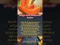 ఖర్బూజా తింటే ఏమవుతుందో తెలుసా #factstorytelugu #muskmelon #kharbuja