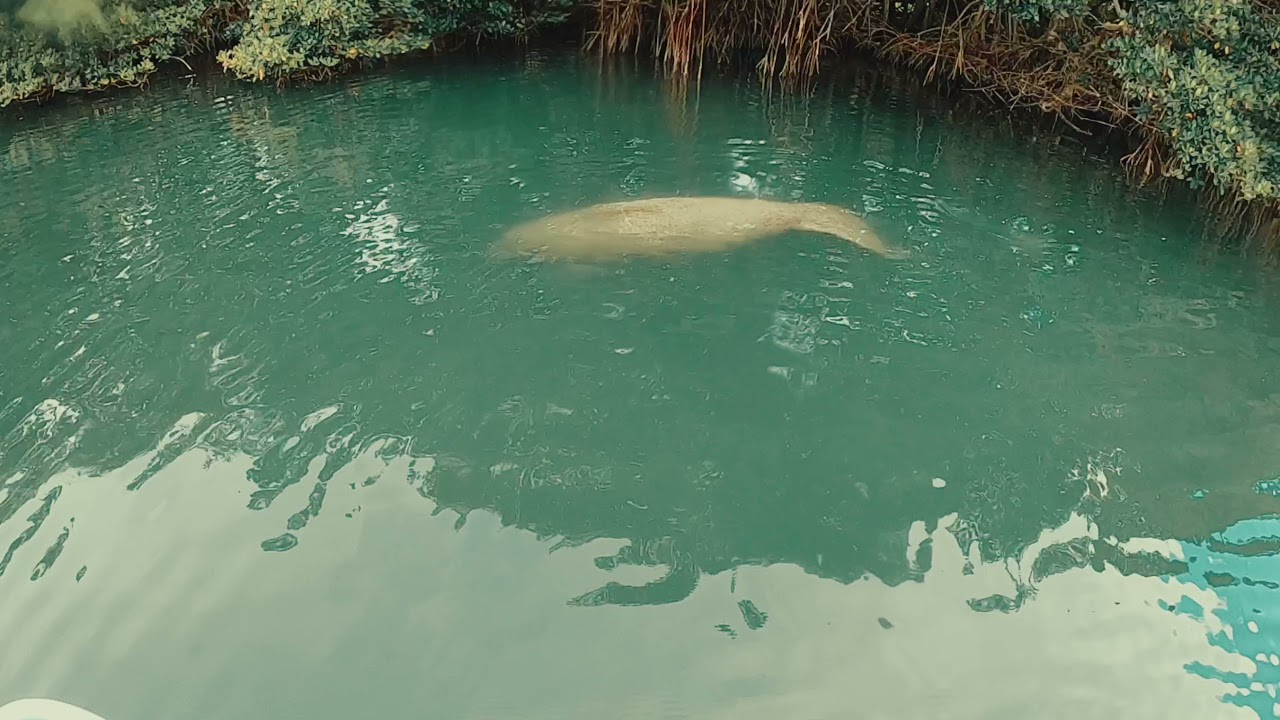 Virginia Key Paddling