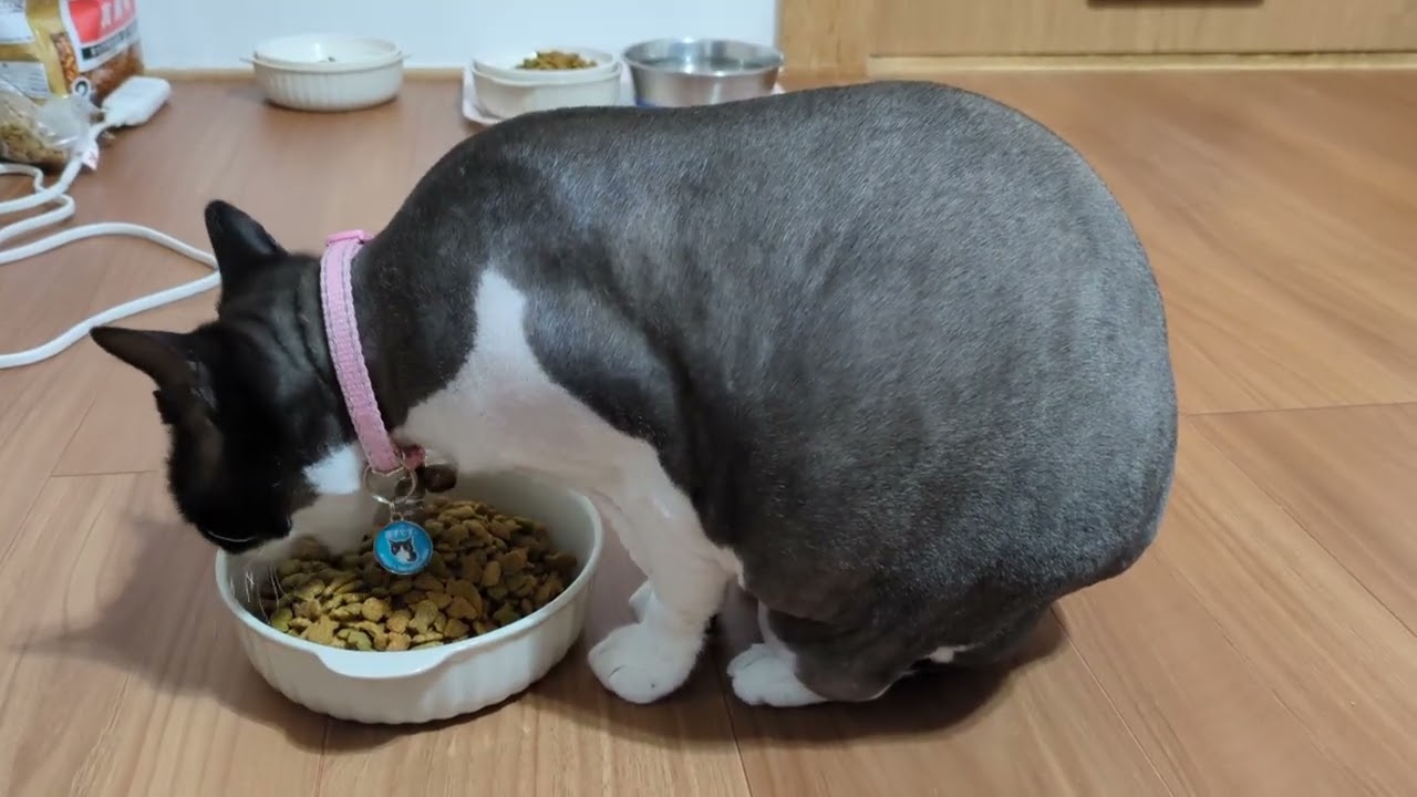 お客様の食事を食べてしまう従業員