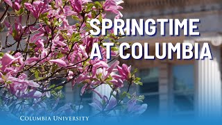 Spring in Bloom on Columbia University’s Campus