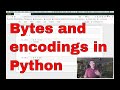 Bytes and encodings in python