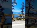 Shimla rides #shimla #queenofhills #capitalcity #view #ytshorts #trending