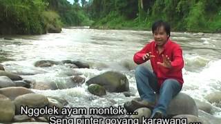 Ayam Modern Jawa Full HD