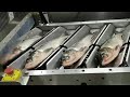 FCM618 Fish Head Cutting Machine-1