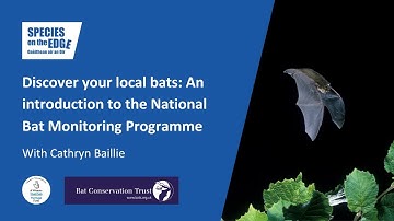Discover your local bats: An introduction to the National Bat Monitoring Programme