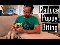 How to Reduce Puppy Biting/Nipping | My Experiences (Tips that ACTUALLY Work!!)