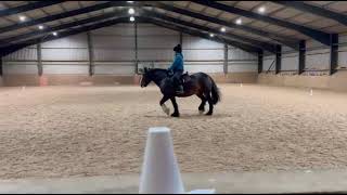 Anoif Naelcam Fiona Maclean Riding Zak Doing E-Riders Novice 3C Any Tack For September 2025