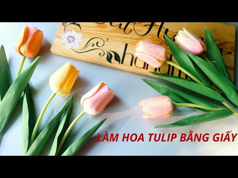 Oải Hương handmade | Hướng dẫn làm hoa tulip bằng giấy|How to make tulips with paper | Foci