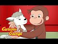 Curious George 🐑 Farm Animals 🐑 Kids Cartoon 🐵 Kids Movies 🐵 Videos for Kids image