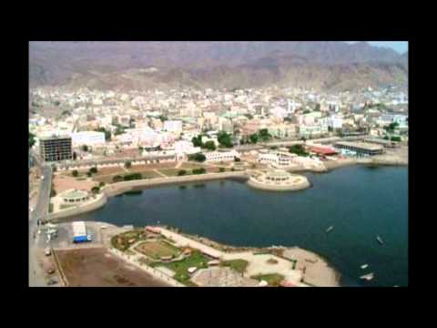 علي صالح اليافعي  يحيى عمر قال لا بندر عدن