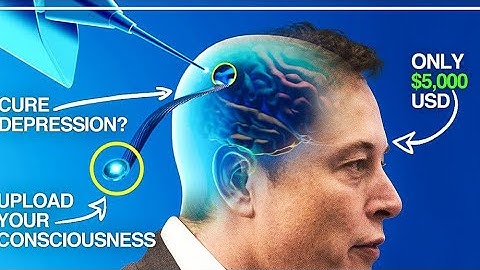 The Science Behind Elon Musk’s Neuralink Brain Chip | Worldwide Entertainment