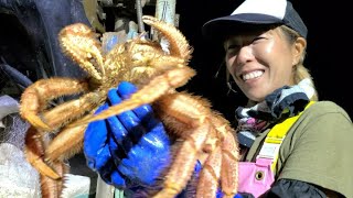 毛ガニ漁！高温注意情報出てる中で特大毛蟹が漁師の網に掛かりヒートアップ
