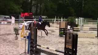 CSO 1/05/2015 : Julia M. & Joyau des Genets - CH du Manoir