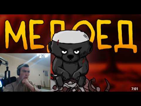 Итак, ты родился медоедом... | Реакция на FunCartoons