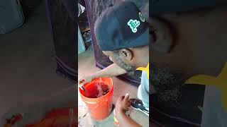 Organic Feeding Time/W Dr. Greenbody (Gaia Green/Down To Earth Dry Amendments