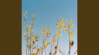 Winter Flowers